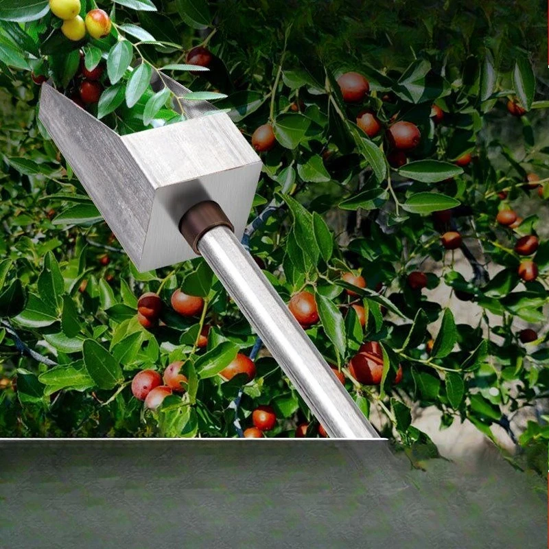 New High Reach Fruit Picker, Non-prick Harvest Tool for Small Wild Fruits