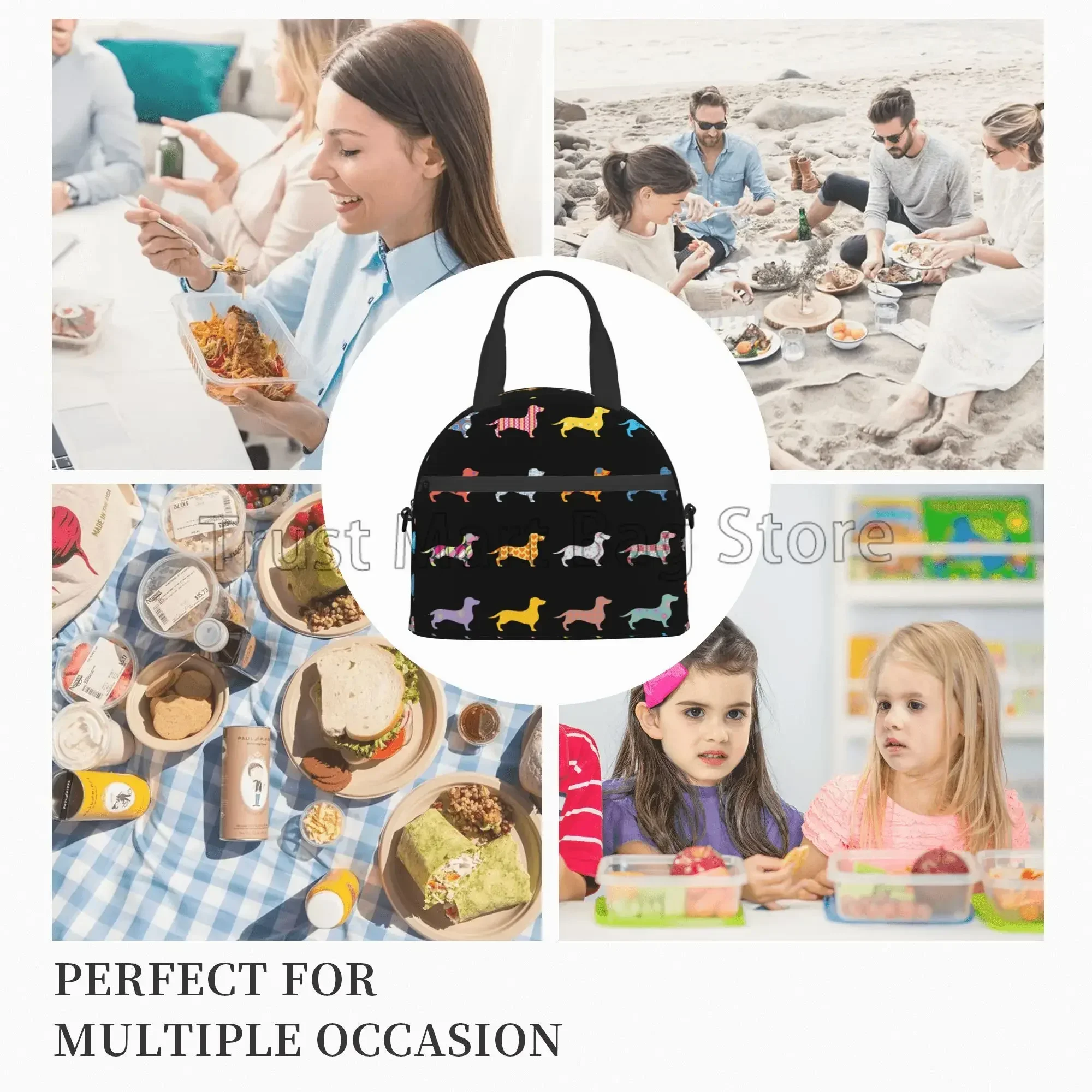 Cute Dachshund Print Insulated Lunch Bag Reusable Waterproof Thermal Bento Tote Bags with Adjustable Strap for Work Picnic Beach