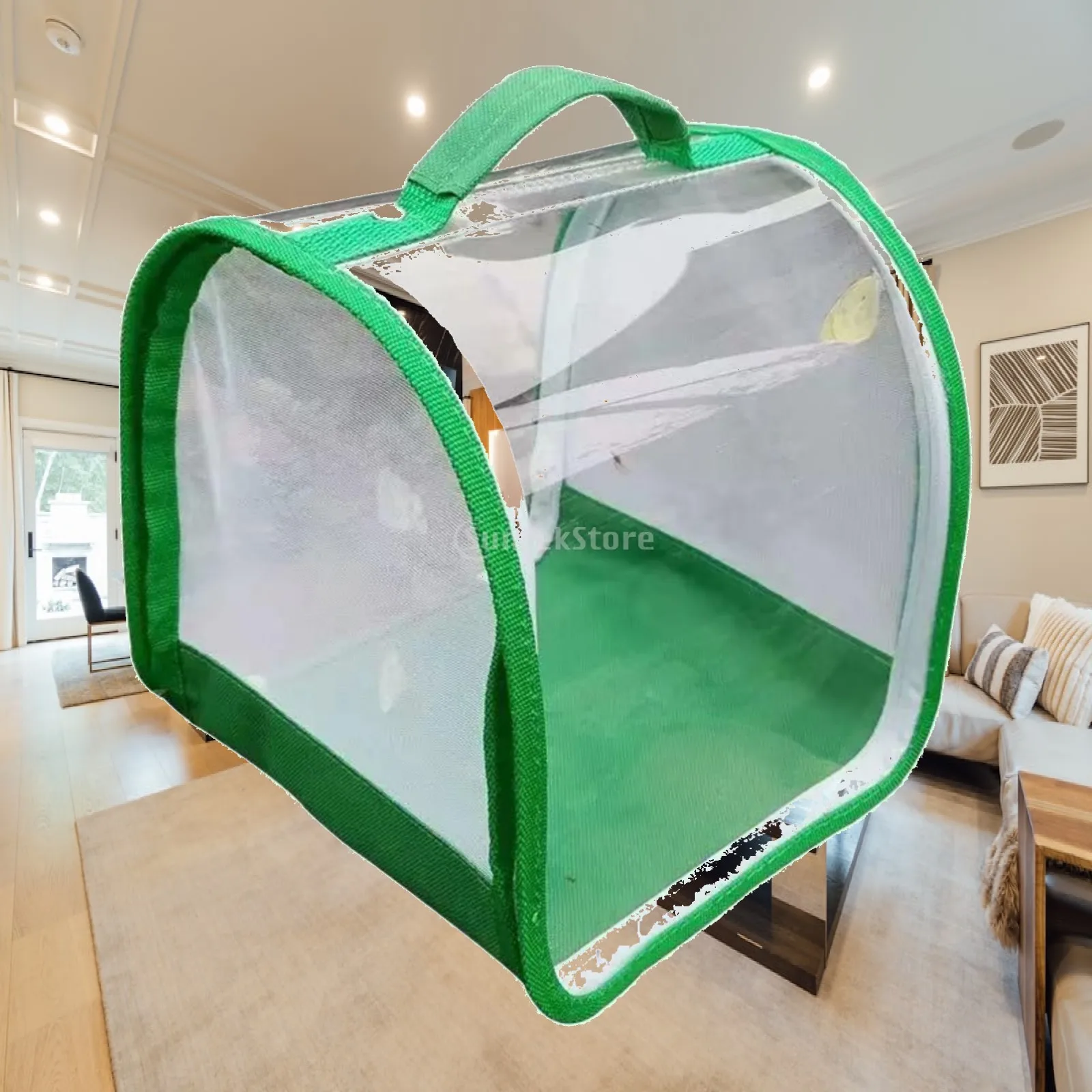 Folding Bug Catcher Cage with Mesh Panels for School Science Projects Portable Observation Box