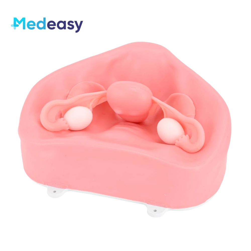 Hysteroscopic Laparoscopic Simulator Training Box Pelvic Model Uterine Module with Fibroids and Ovarian Cyst