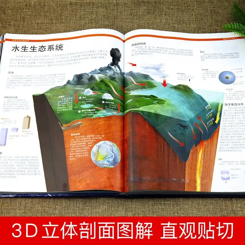 Как делаете они + Как делают они (Земля).