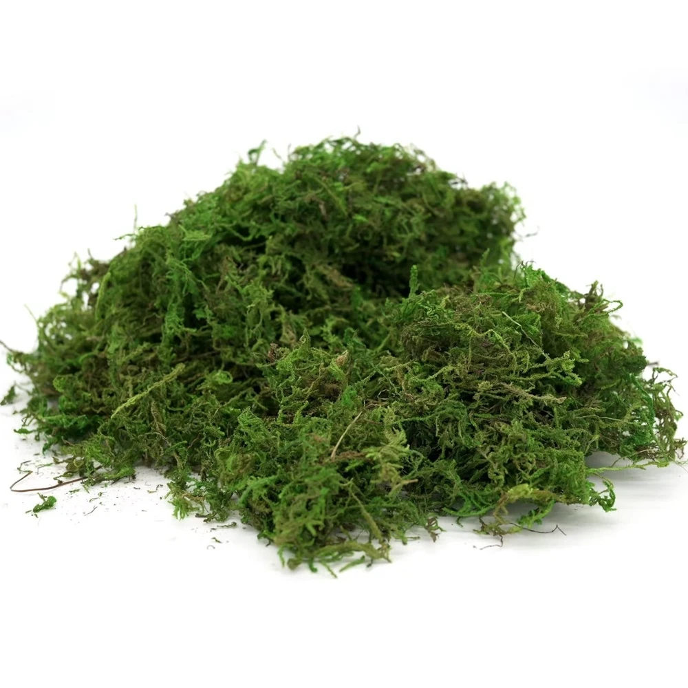 

50/100g Fake Moss Artificial Green Moss for Potted Plants Fairy Garden Accessories