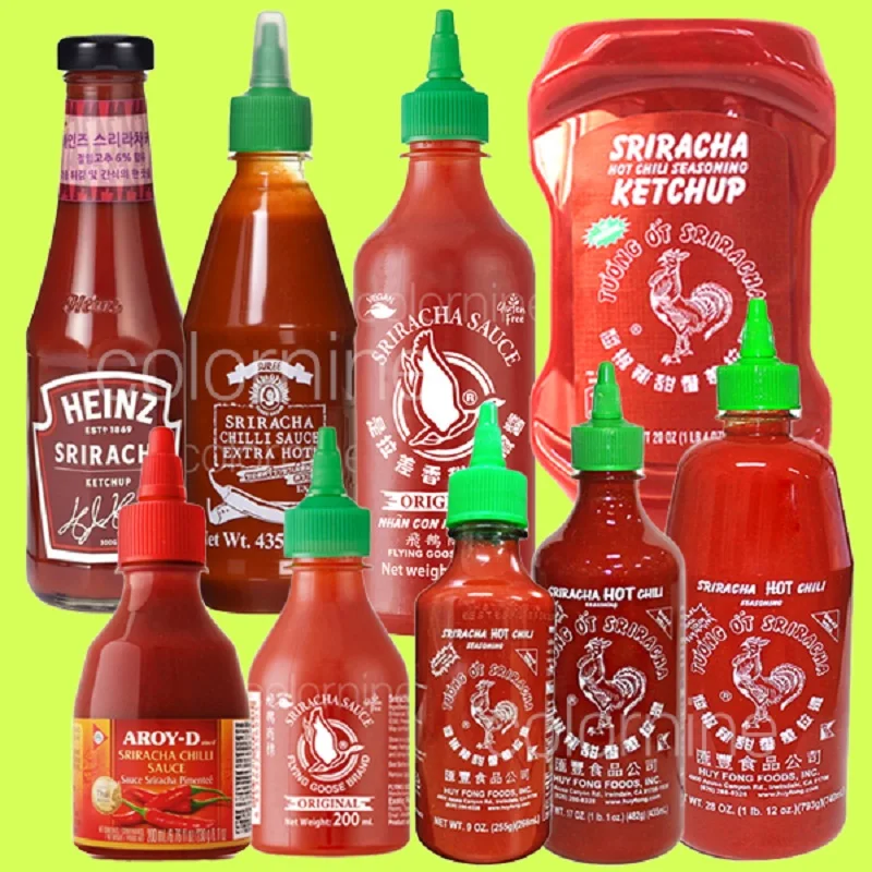 Huifeng Sriracha Condimento de chile caliente 255 g /482G /793G + Tabasco/Ganso volador Heinz/Nosuga Ketchup