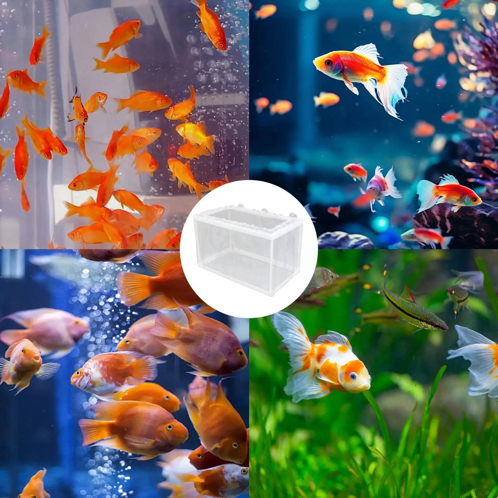 Fischzuchtbox mit Saugnapf, DIY-Aquarium-Brutkasten, Netzbox zur Trennung von Jungfischen, Inkubatorbox für Fischbrut. – Detail 3