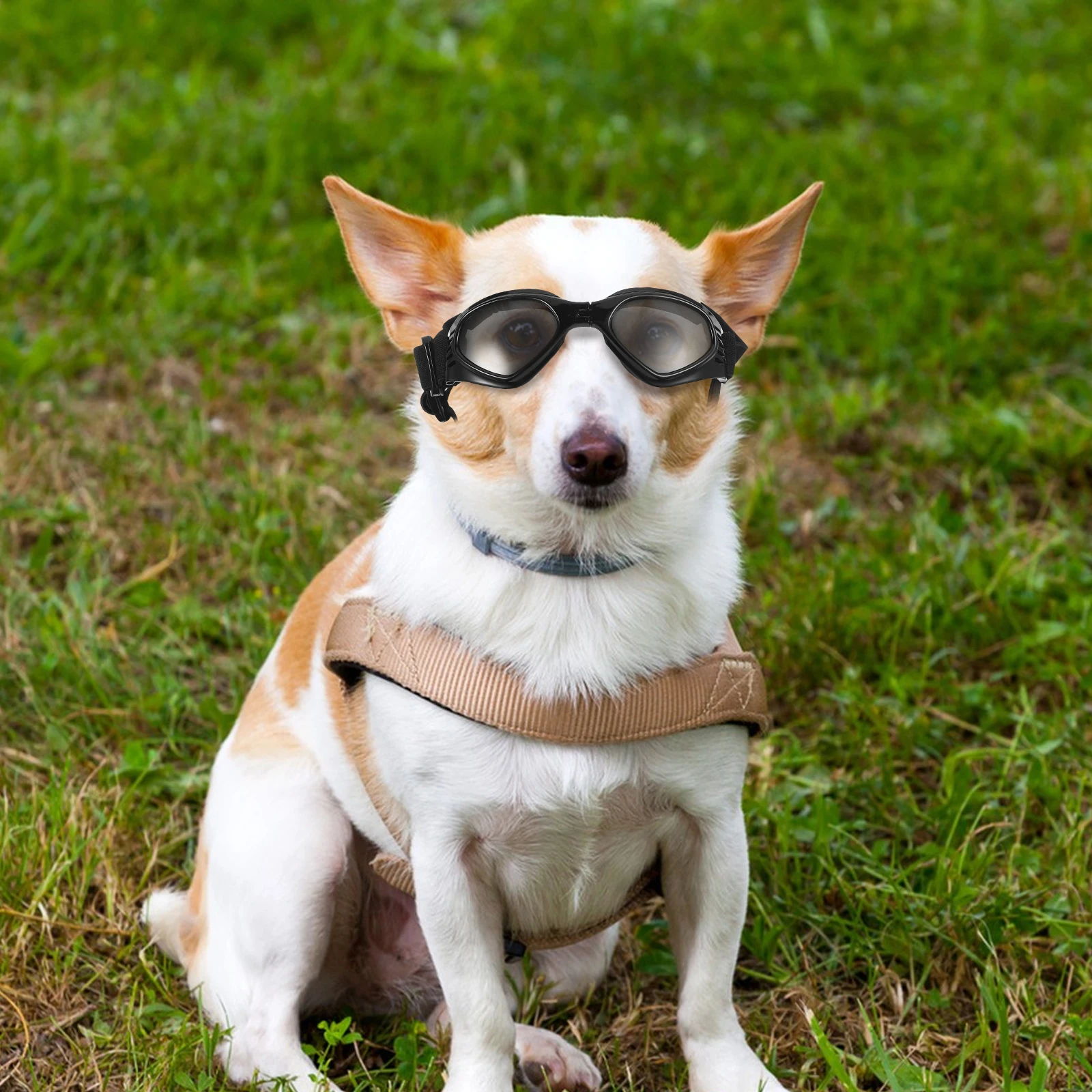 

Dog Sunglasses Foldable Uv Protection Pet Goggles Adjustable Waterproof Glasses For Small Medium Large Breeds Outdoor Wind Rain