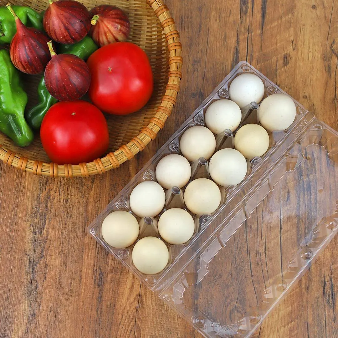 24Pcs Plastic Egg Cartons Bulk Clear Chicken Egg Tray Holder for Family Pasture Chicken Farm Business Market- 12 Grids