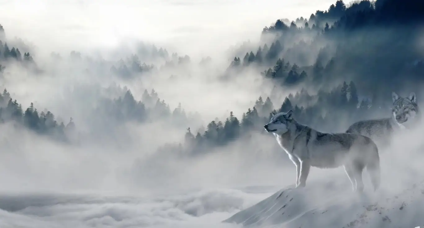 Custom Wall Wallpaper Nature Fog Ink Forest Snow scene Wolf Bird mural Bar Cafe KTV Background wall art wallpapers home decor