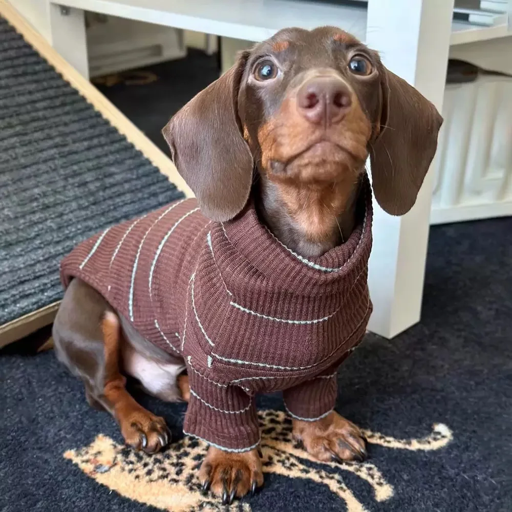 

Brown Stripe 2-legged Dachshund Dog Clothes Warm Elastic Sweater for Wiener Dog Clothes Spring Dog Costumes for Sausage