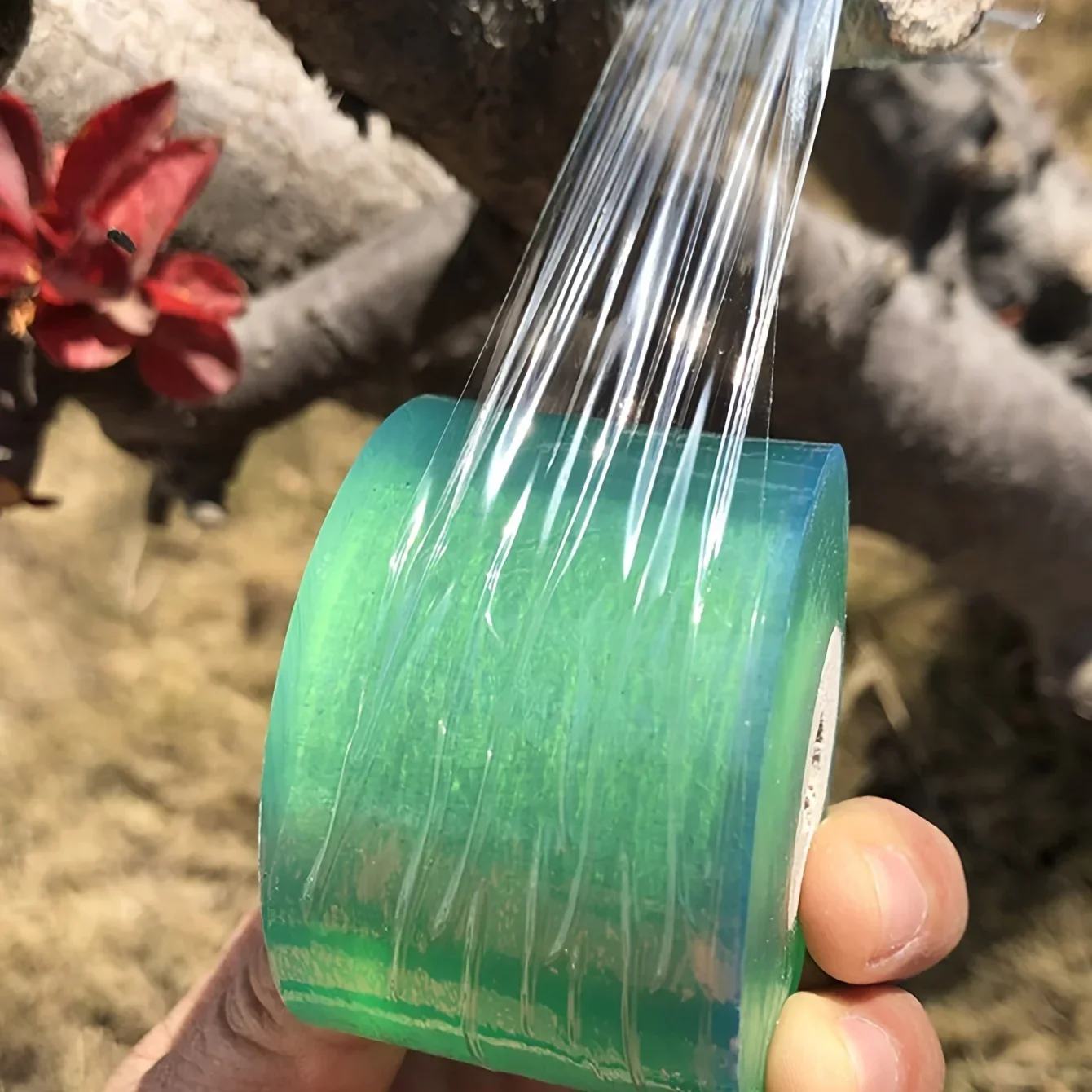 1/2 قطعة-شريط تطعيم من البولي ايثيلين ذاتي اللصق، ملحقات تطعيم شجرة الحديقة القابلة للتمدد، شتلات شتلات الطماطم الكرمة #1