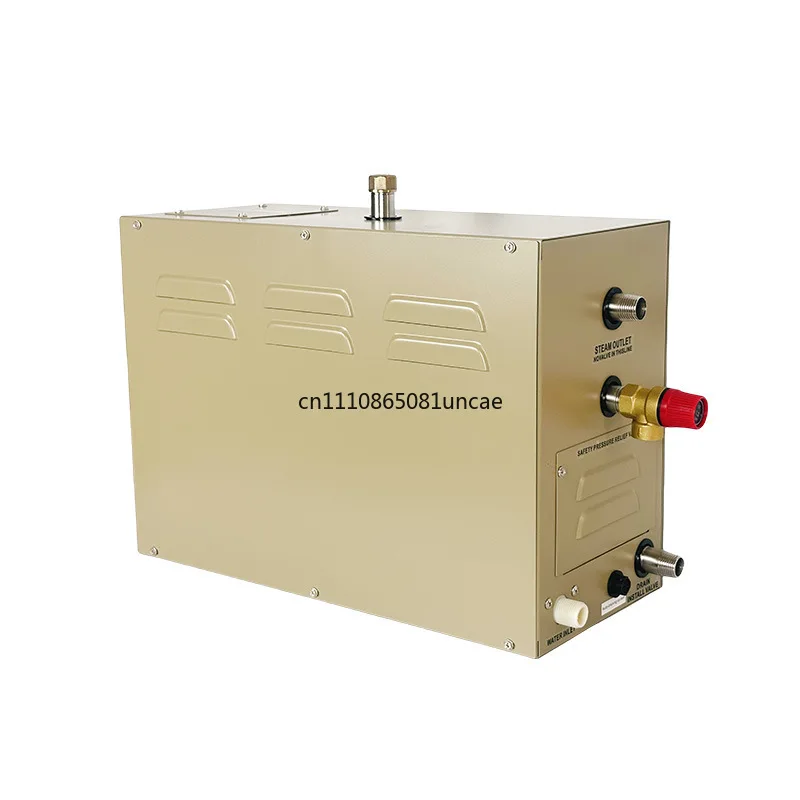 Sauna Steam Engine Household Bathroom Wet Steam Machine Sauna Small Fumigator Factory Trade Supply