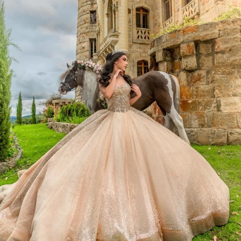 Shiny Champagne Quinceanera Dresses Off the Shoulder Glitter Bead Decal Lace Long tail Vestidoe 15 Quinceanera Customize