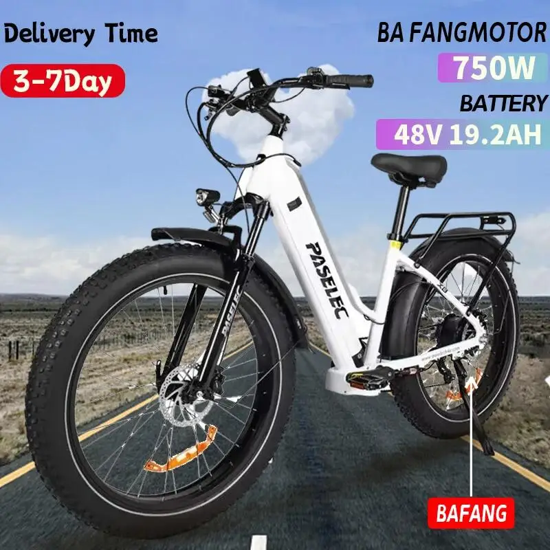 2024 New EU Electric Bike 750W Bafang City Electric Bike 48V 19.2AH Battery Adult Girls Boys Beach Fat Tire Electric Bike