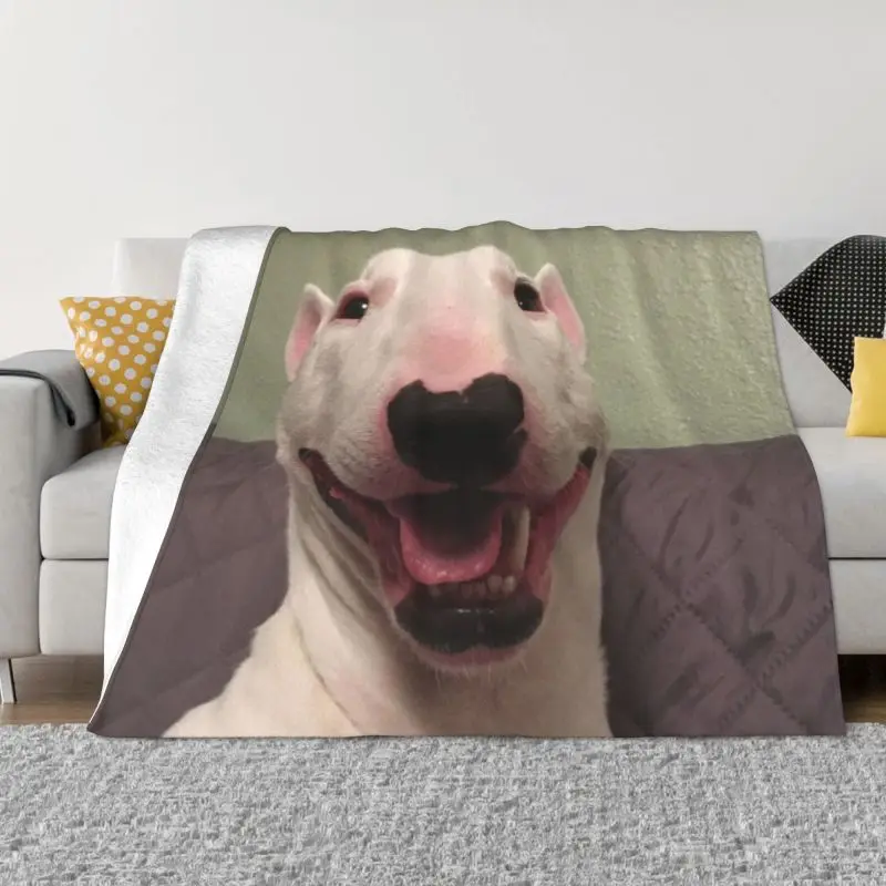 Bull Terrier Funny Dog Blanket Soft Fleece Autumn Warm Flannel Funny Meme Puppy Throw Blankets for Sofa Car Bed Quilt 1