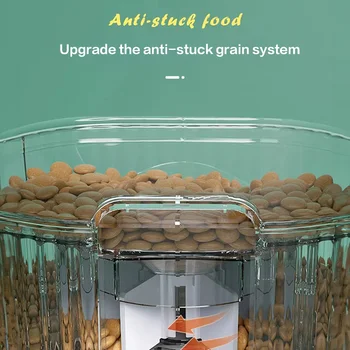 10 best sales מתקן לחתולים - №5