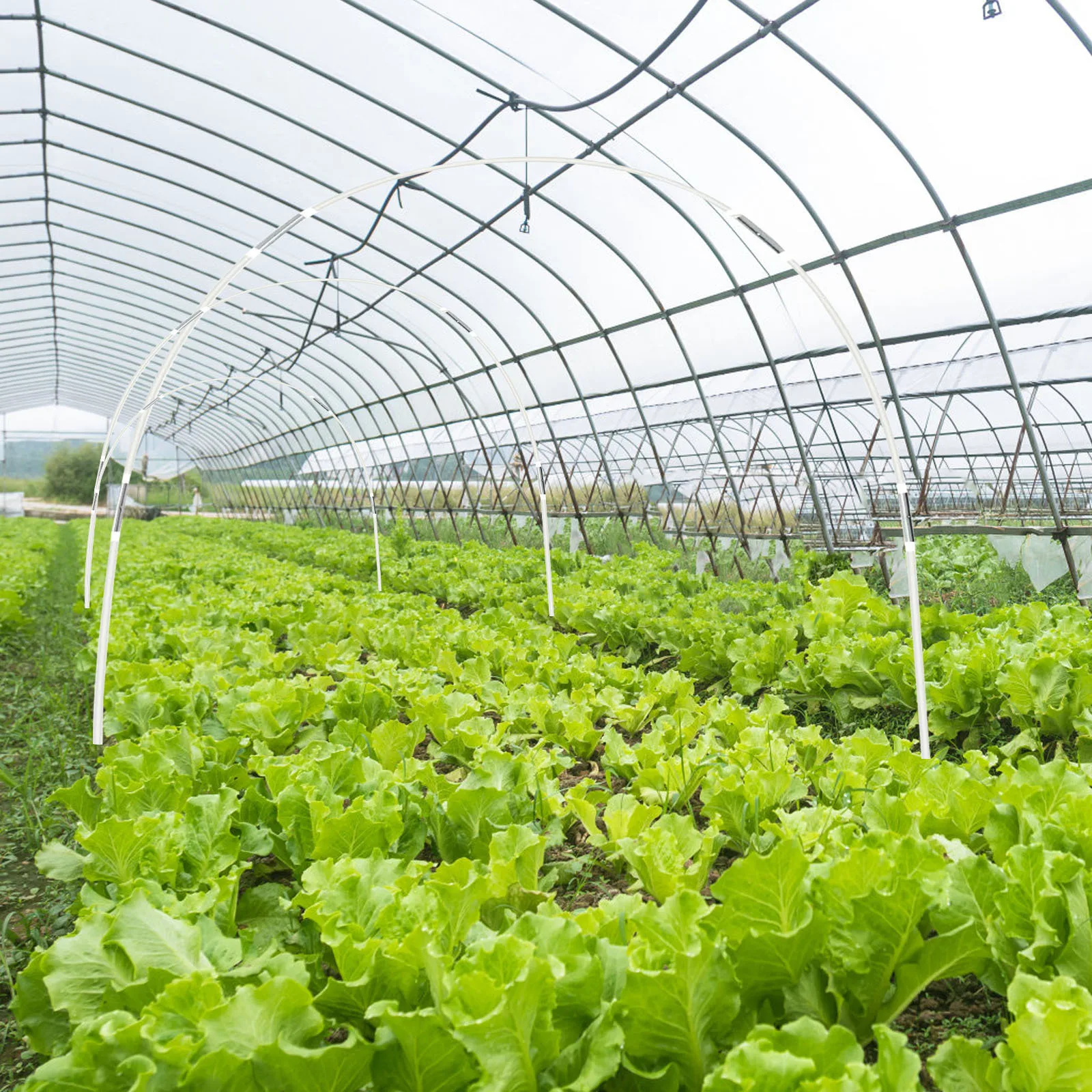 식물 지지대 세트, 내구성 있는 온실용 터널형 식물 보호대, 서리, 태양, 새로부터 식물을 보호하는 정원 아치 프레임