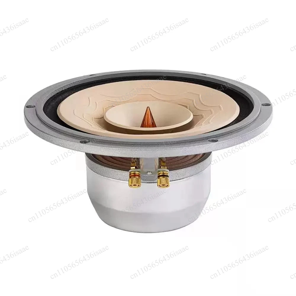 Flagship Full Range HIFI Speaker Silver‑10 High‑End 10