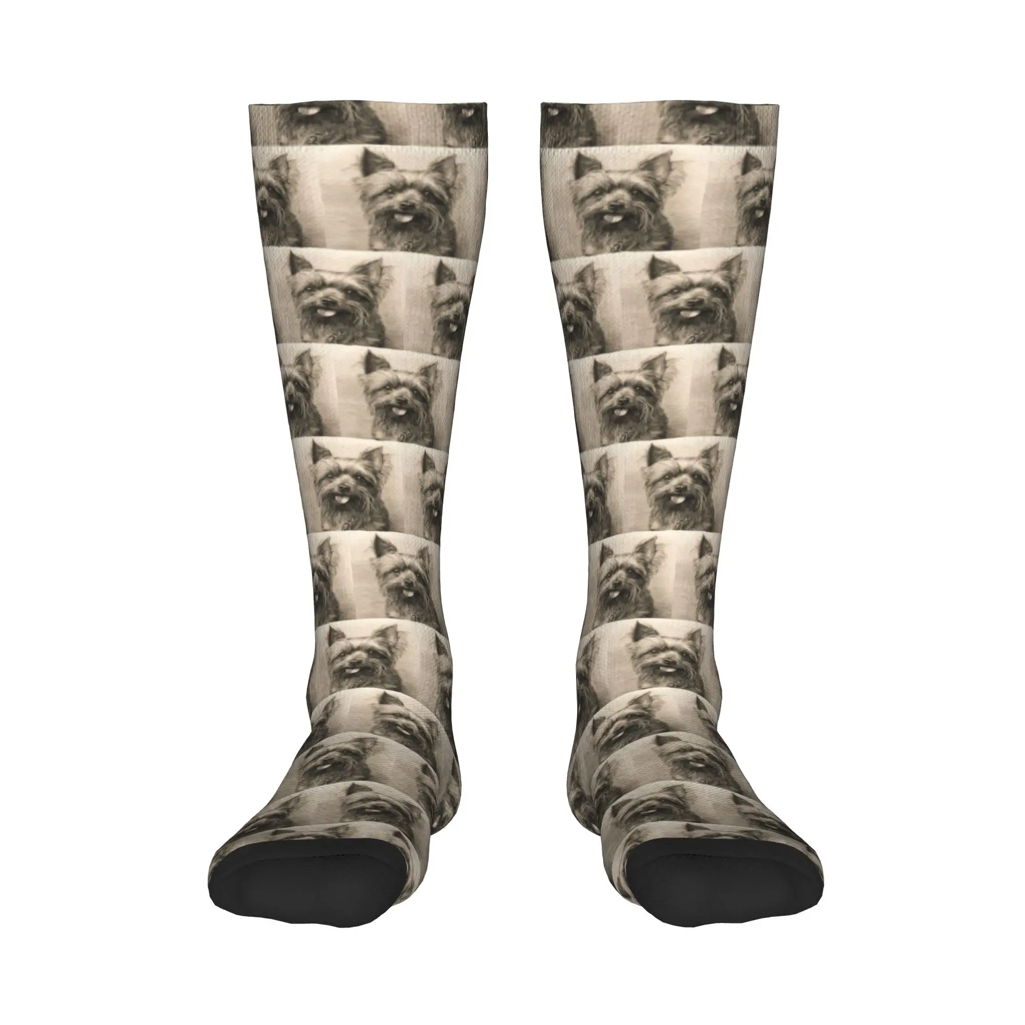 

All Seasons Crew Stockings The Adorable Yorkshire Terrier dog Socks Harajuku Crazy Hip Hop Long Socks Accessories for Men Women