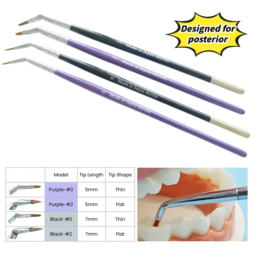 Cepillo curvo dental, bolígrafos con forma posterior doblada, Skyists, cepillos de pelo de nailon # 0 # 2 Restauración de dientes de laboratorio de dentaduras postizas