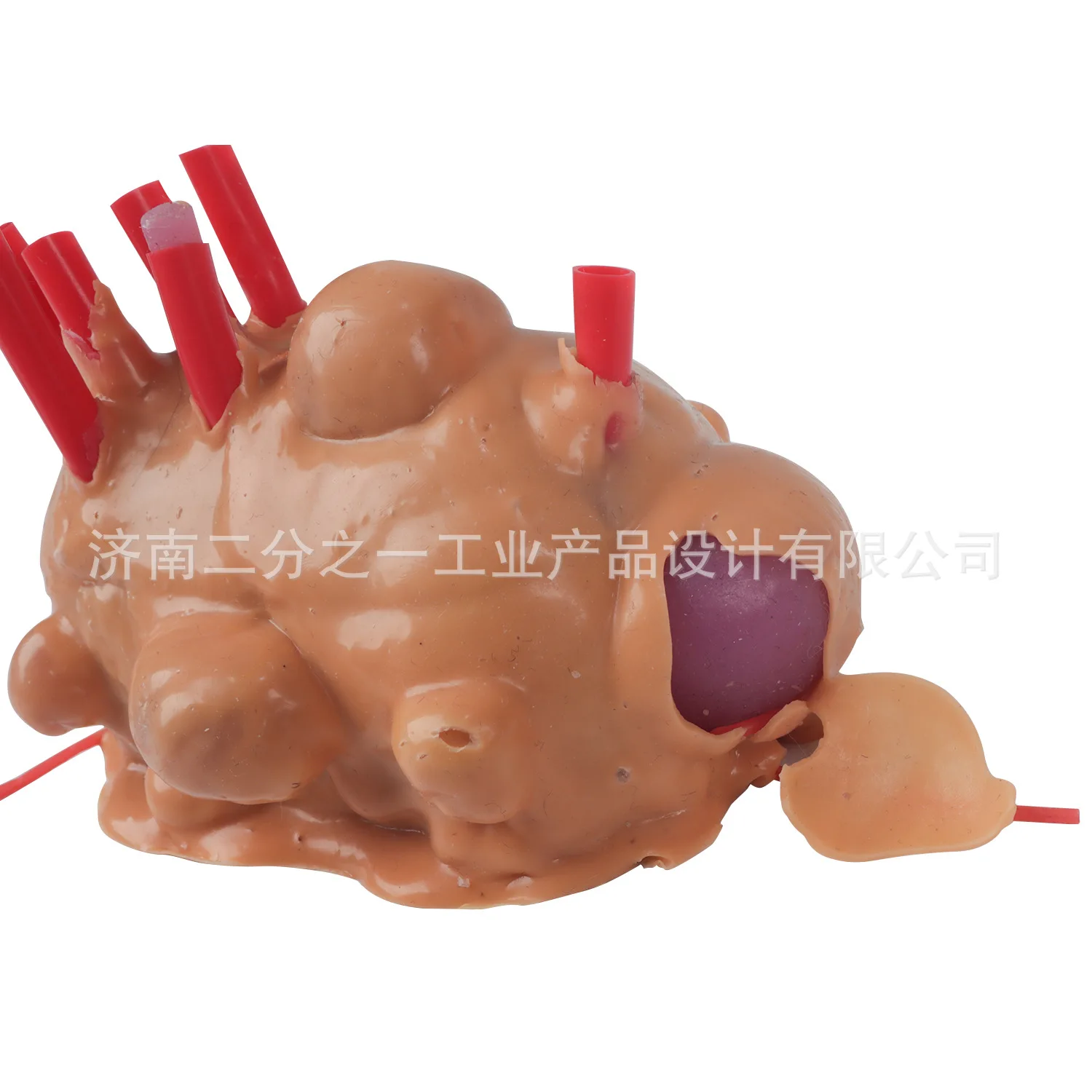 Surgical General Obstetrics And Gynecology Urocardiothoracic Laparoscopic Myoma Suture Silicone Training Module Model