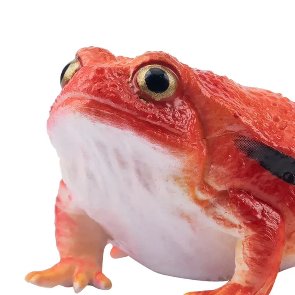 Toymany Simulation Tomato Frog Madagascar Animal Model Toy Mini Figures Dolls Action Figurines Toy Children Gife Cake Decoration
