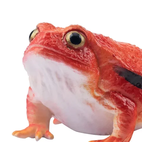 8 best sales Madagaskar-leksak - №8