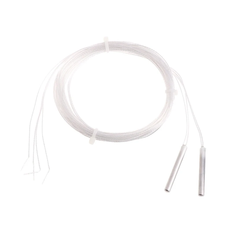 Cảm biến nhiệt độ điện trở 4mm x30mm RTD Platinums 2 dây Cặp nhiệt điện Dropshipping
