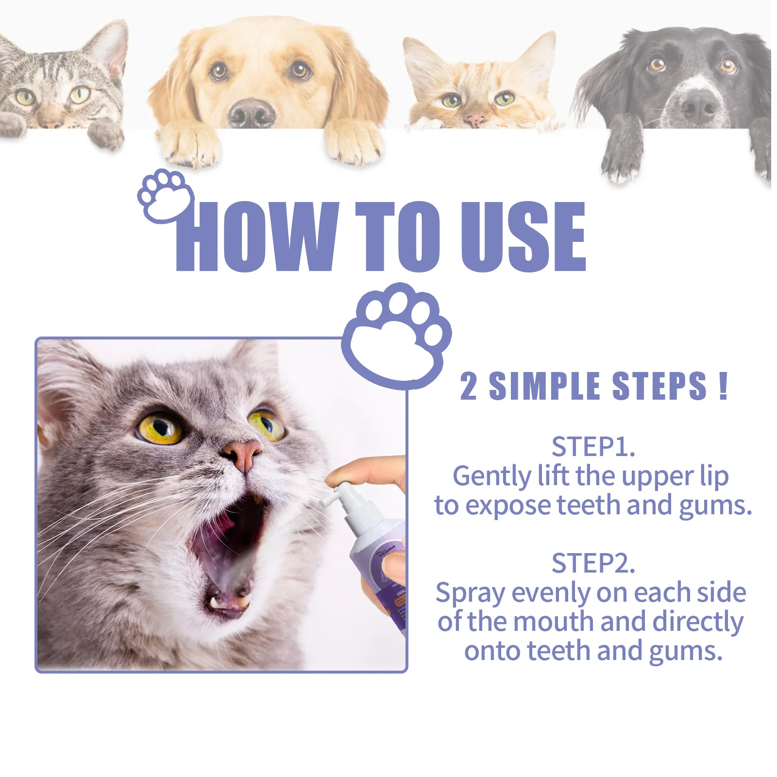 Dog and cat teeth cleaning spray pet mouth cleaning tartar tooth stains to remove odor fresh breath