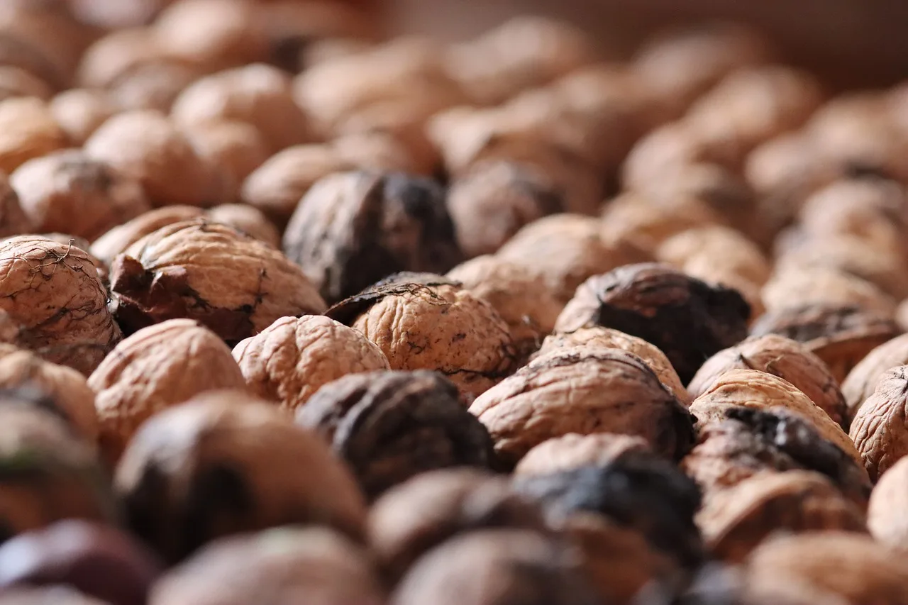 الإطارات/العجلات الأصلية 4 قطعة/المجموعة لـ MJX 14209 1/14 RC قطع غيار شاحنات السيارات