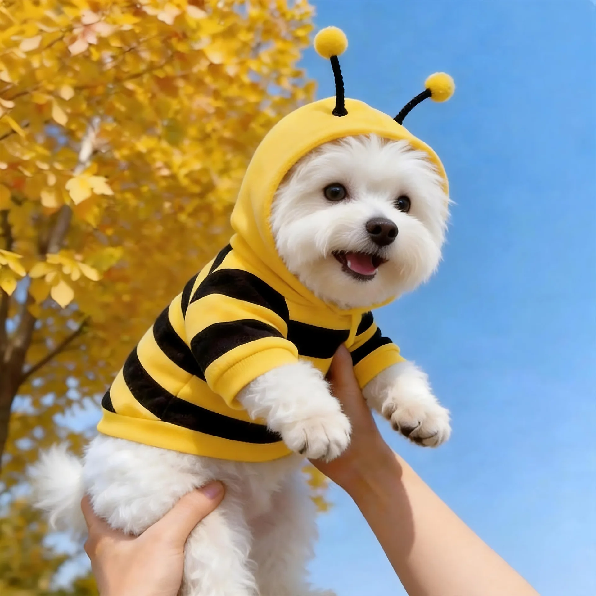 Cute BeePet Dog Autumn Winter Clothes, Funny Dog Outfit Anti-Shedding Warm Fleece Thickened for Small Dogs Winter Wear Accessory