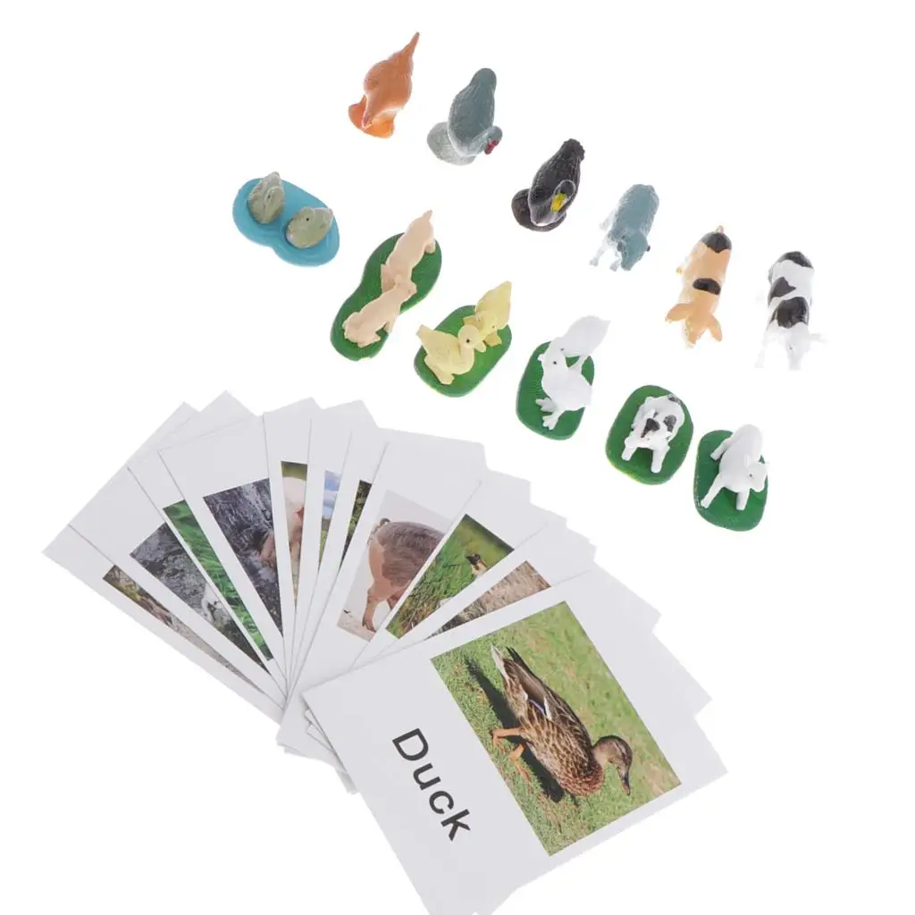 Animals Match Cards, Cognitive Flash Card Animal Figurines, Infant Preschoolers Learning Educational Toys