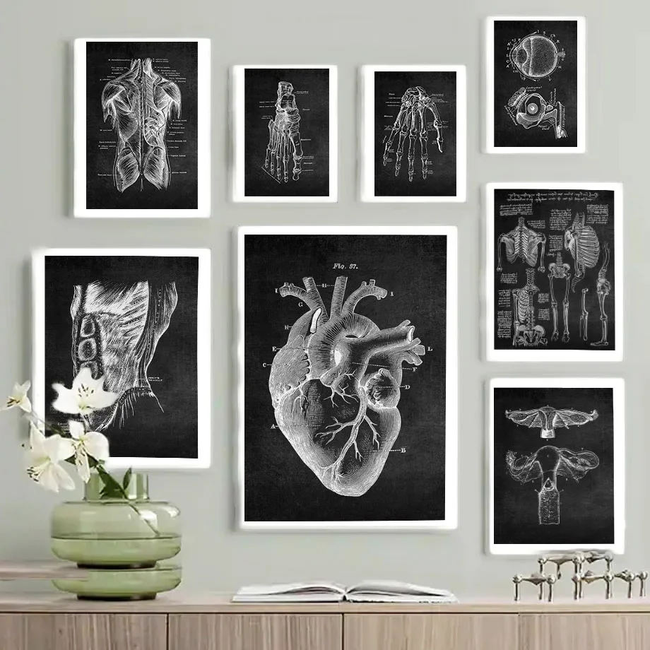 Anatomy Art White and Black Medical Canvas Painting Flower Organ Cardio Lung Poster Printing Education Hospital Home Decor