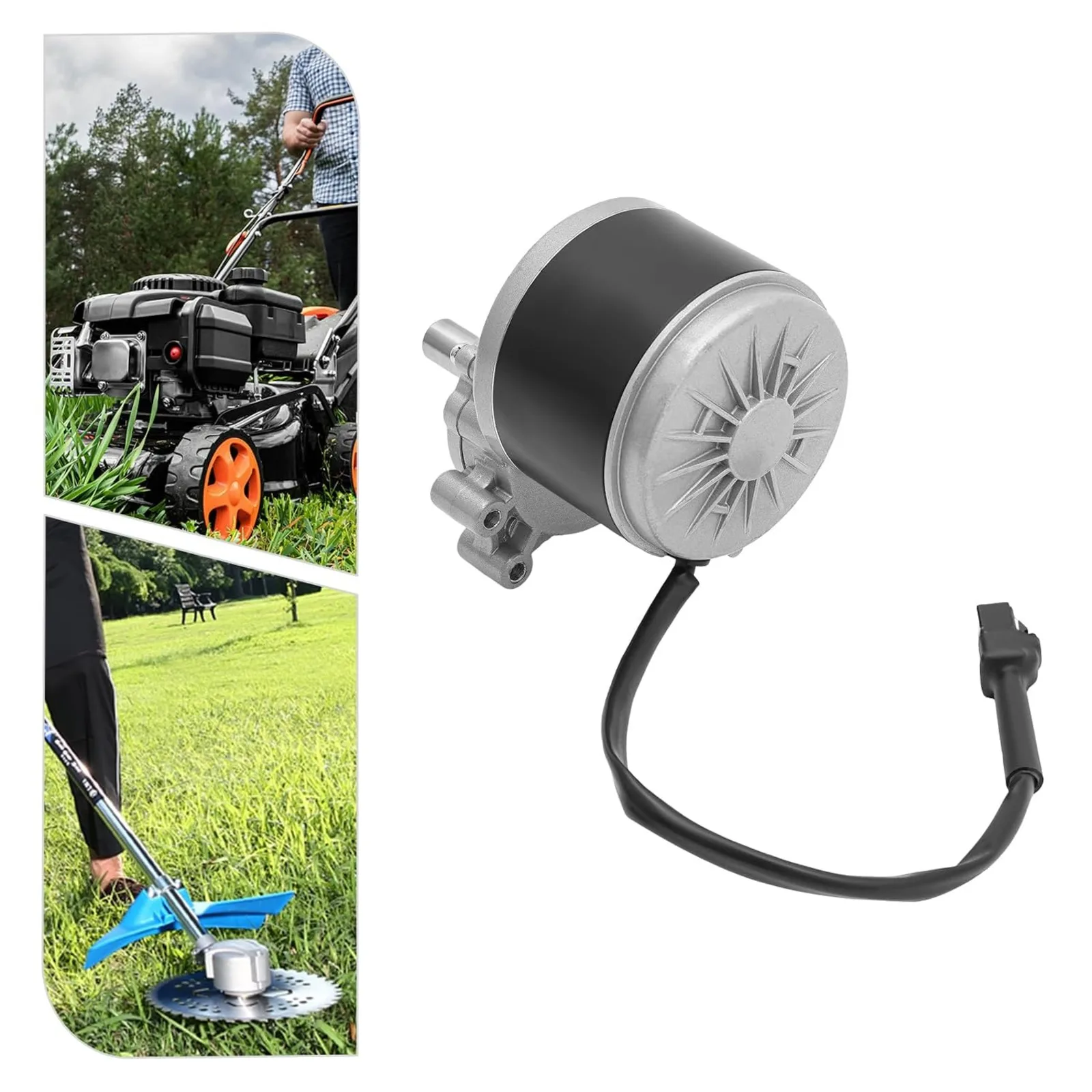 250W 24V Brushed DC Gear Motor, MY1016Z 75RPM Low Speed Motor for Beach Bikes & Mobility Scooters, Corrosion-Resistant Electric Motor view 2