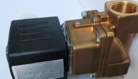 2026 new German original genuine solenoid valve in stock 5404-A-13.0-G1/2-24V 00307267