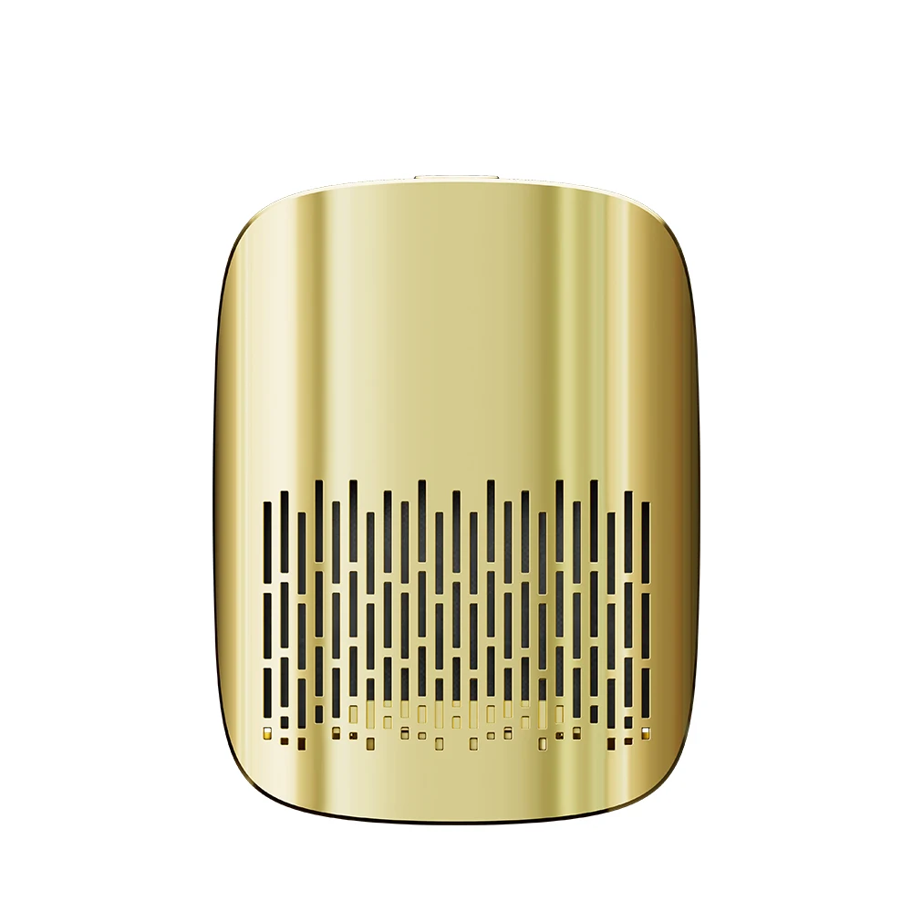 Variant: Gold