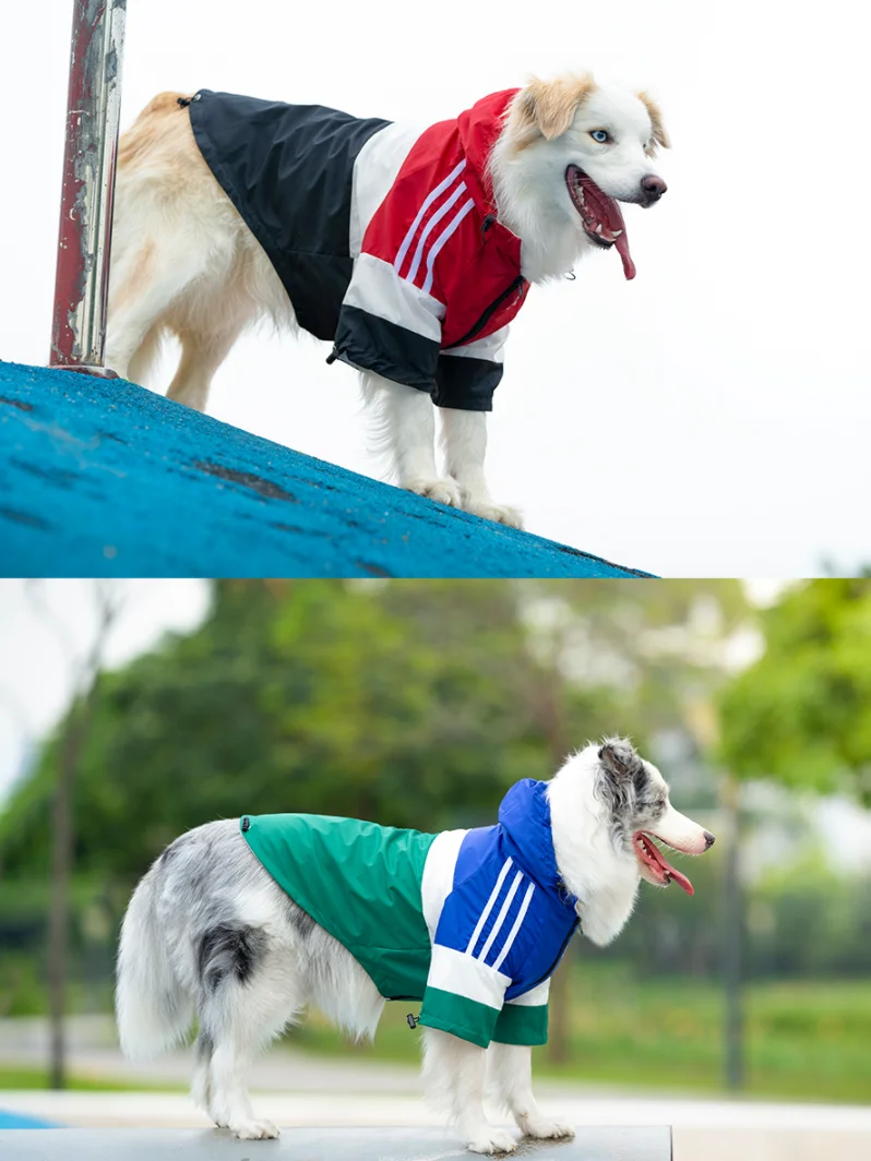 Waterproof Raincoat for Dogs, Dirty Clothes, Medium and Large Dog, Autumn