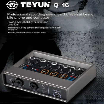 TEYU Q-16 audio interface sound card 16-bit/48KHz converter electric guitar live recording professional studio Podcast Q16 Sing
