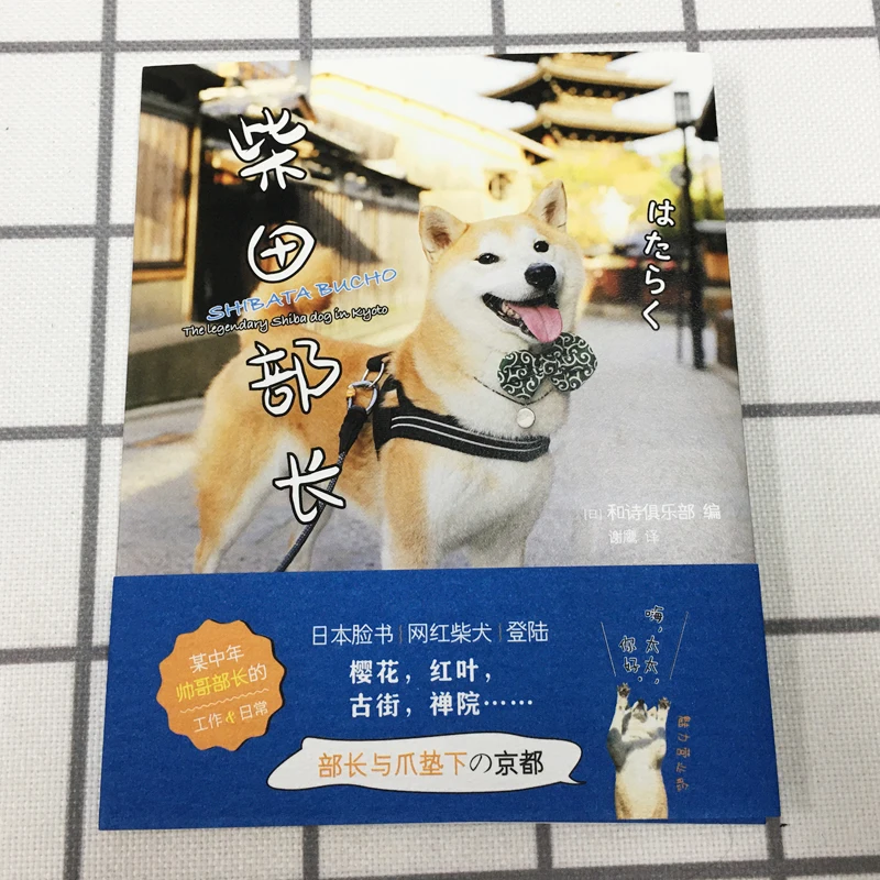 

Chai Tian Bu Zhang すばる Japanese Net Red Shiba Inu Official Photobook Life Photo The Customs of Kyoto From a Dog's Perspective