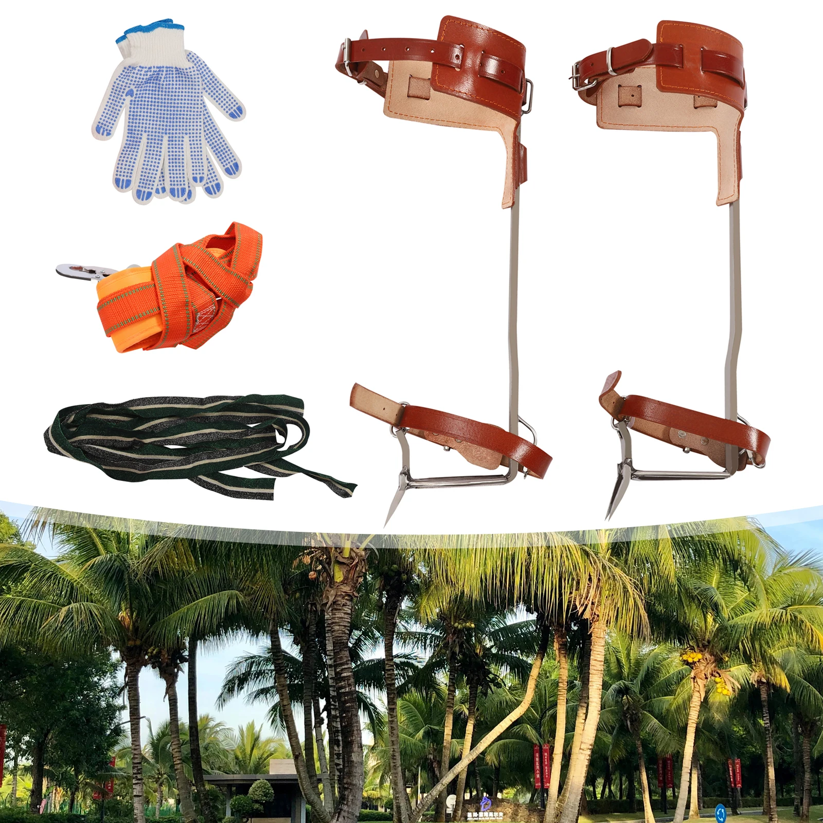 متسلق شجرة معالجة التبريد المتين أشرطة جلد البقر القابلة للتعديل بدواسات سميكة ضمادة إطباقية بصف مزدوج #3