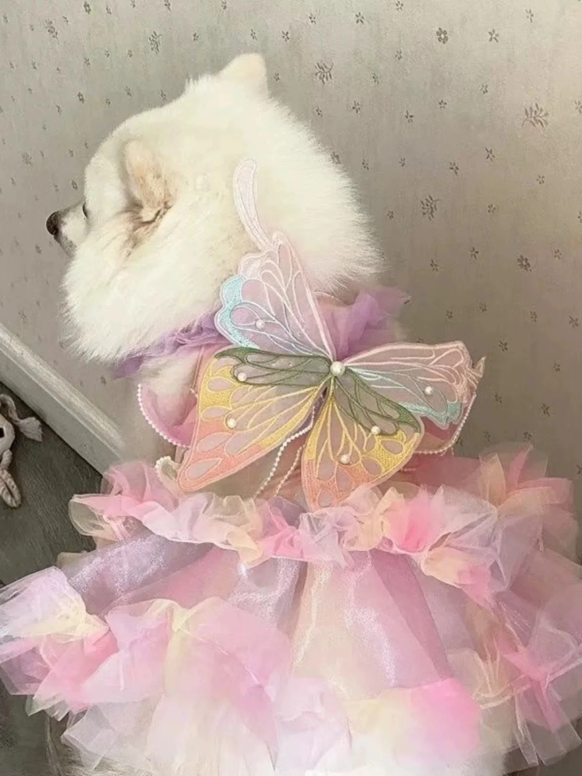 Fairy Flutter Dress Rainbow Fairy Phantom Pink Butterfly Wings Spring Summer Cats Dogs Fairy Short Dresses