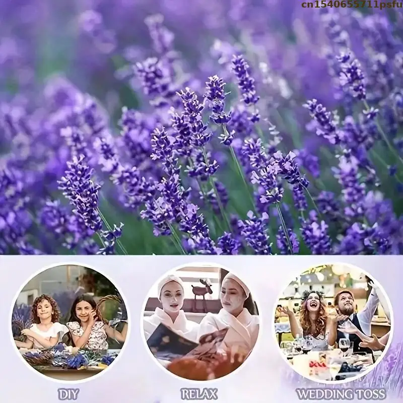 Top Natural Lavender Dried Flower For Pillow Sachet Filling Soap Candle Lavender Flavor Perfume Tea Essence Making Materials