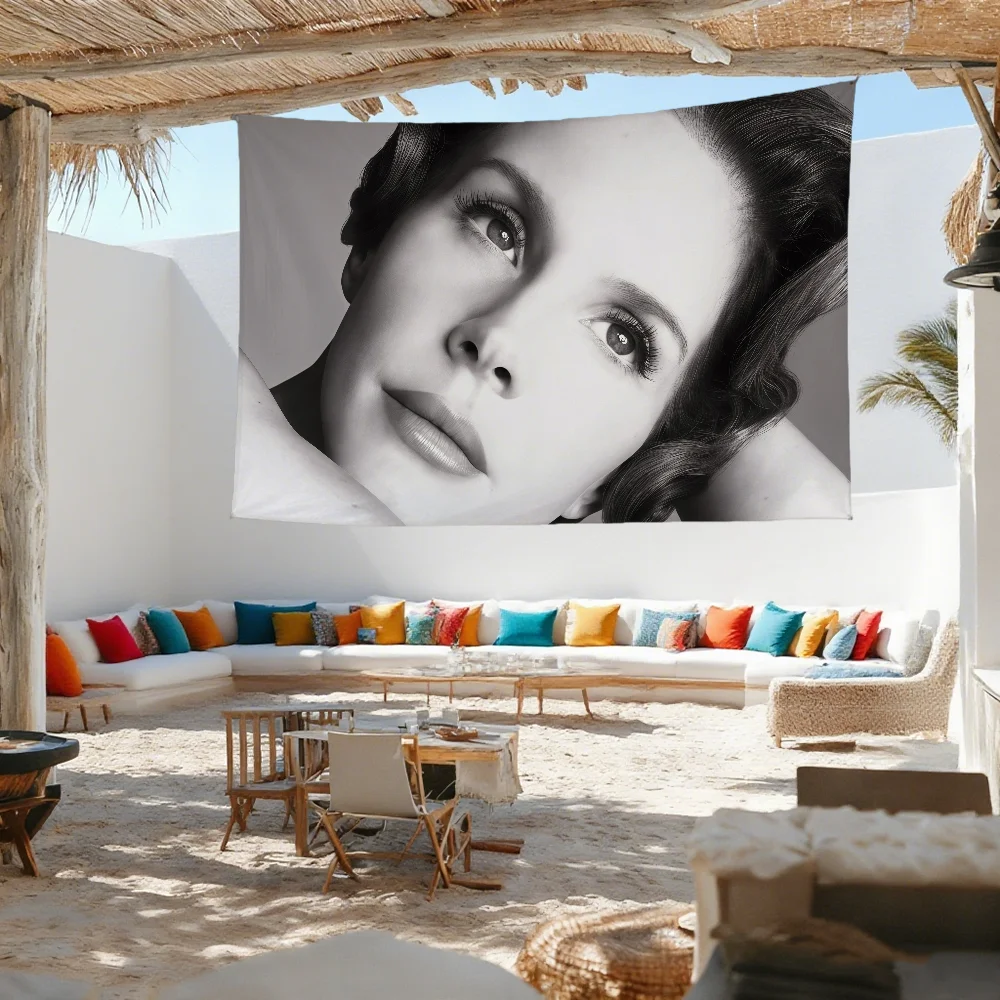 L-lana D-del singer Rey stove flag For Outdoor Camping Bar Picnic Party Home Decoration Ornaments Banner