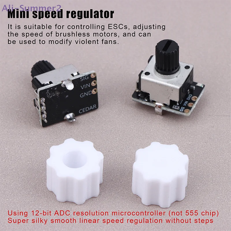 {Summer2} 1/3Pcs Dc…