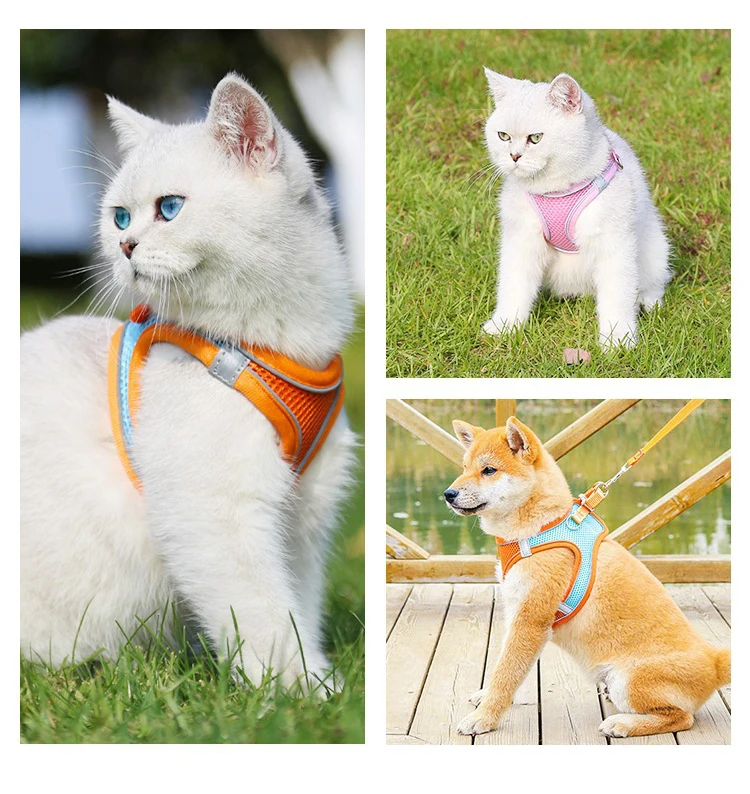 Soft mesh dog chest strap, suitable for training walks, adjustable dog vest, suitable for small and medium-sized dogs and cats view 3