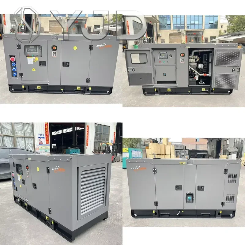 50kVA 40kW Ricardo Gray Silent Generator with Auto Start Remote Start ATS European Socket Lifting Ring