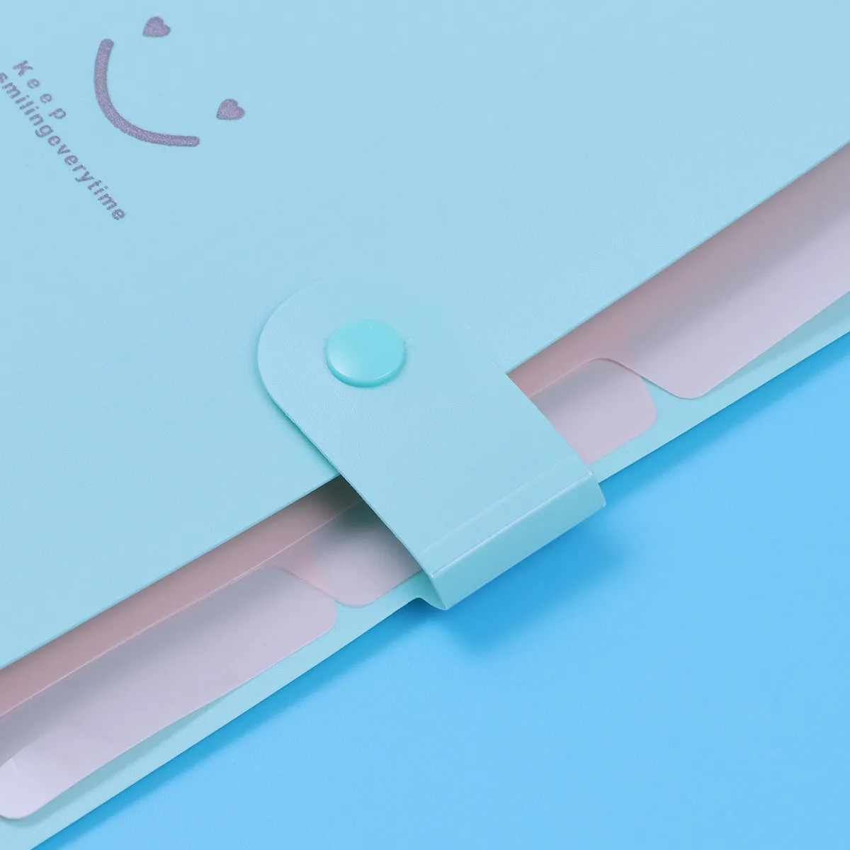 

Папка-органайзер на 5 отделений, премиум-класса, пластиковая, раскладная, с застежкой-защелкой, формат А4, для хранения документов, для дома