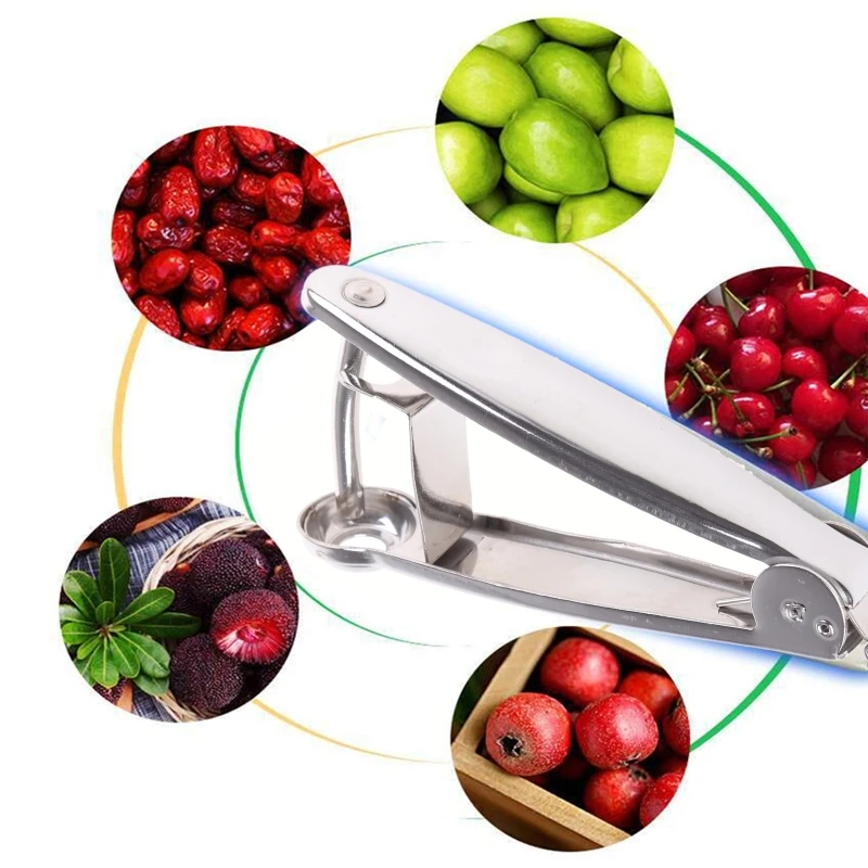 Cherry Pitter Tool 304 Stainless Steel O live Pitter Tool Plum Pitter Cherry Stone Remover For Make Cherry Juice Cherry