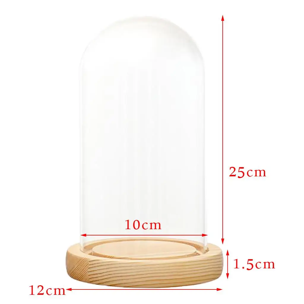 Mini Glass Display Dome with Wood Base DIY Landscape Cloche Container for Home Cafe Bar Decor