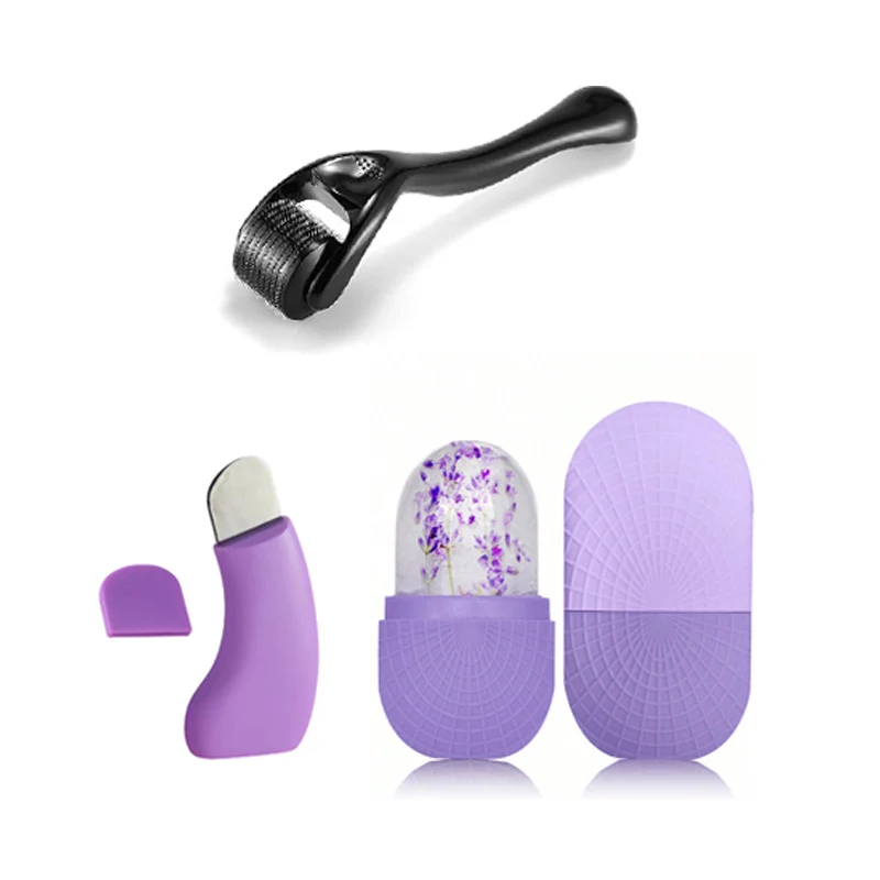 Facial Skin Care Tray Ice Tray Deep Cleansing Blackhead Remover Shovel Skin Beard 0.25mm Needle Micro Facial Roller Tool Set