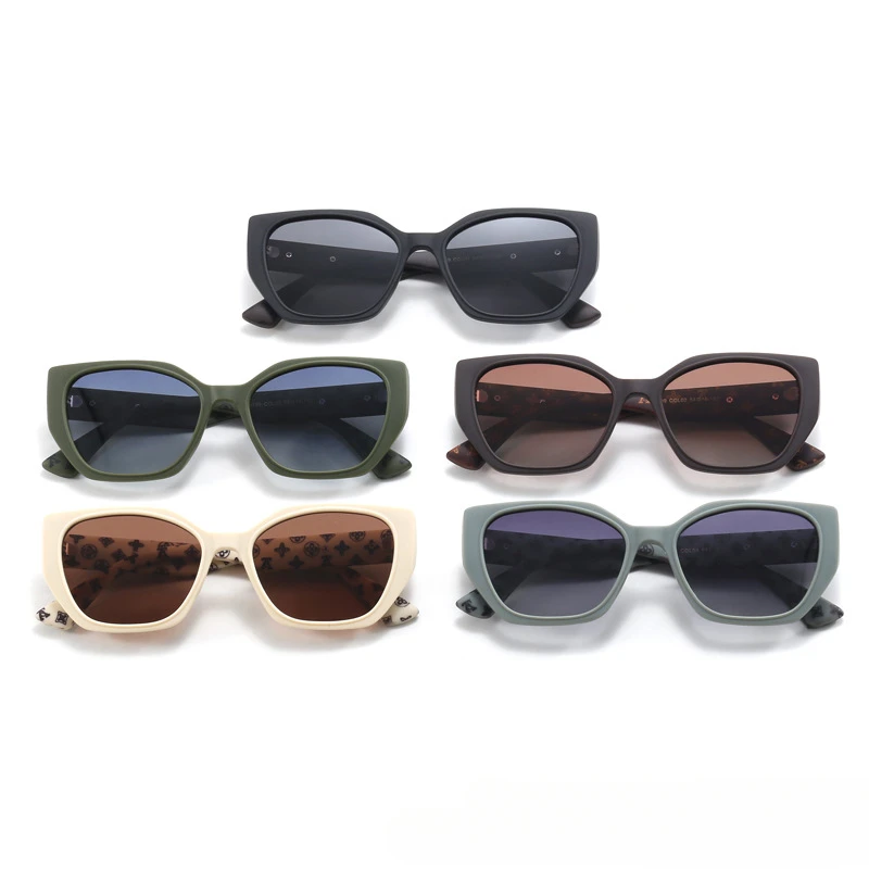 

2025 New Retro Cat-Eye Small Frame Sunglasses Unisex – Polarized UV400 Luxury Vintage Asymmetric Design for Driving & Outdoor