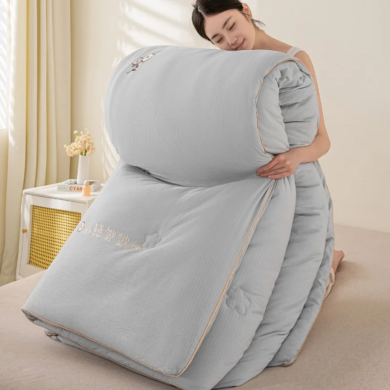 Winter quilt thickened spring and autumn quilt student dormitory warm quilt core available in all seasons